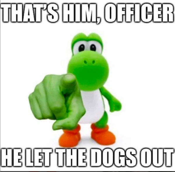 Who Let the Dogs Out? — Yoshi pointing at camera with caption accusing him of letting the dogs out