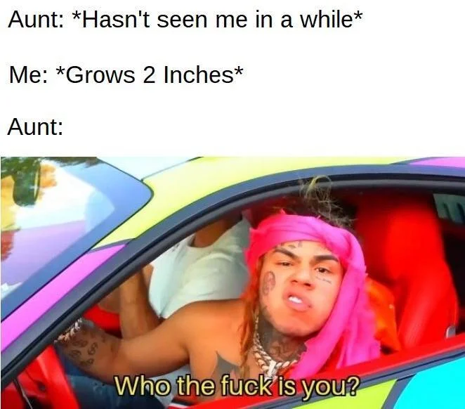 Who the Fuck Is You? — Who the fuck is you meme with aunt reacting to grown relative joke