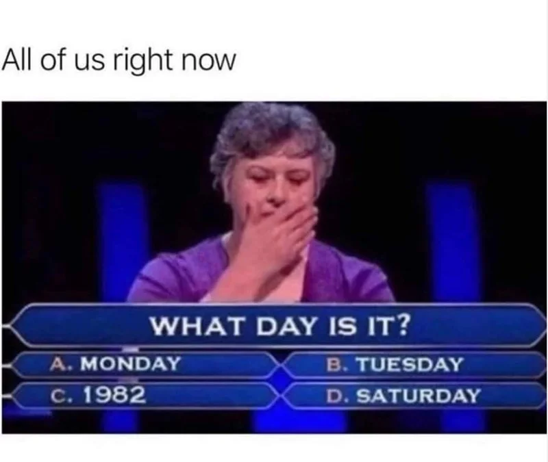 Who Wants to Be a Millionaire? — Millionaire meme mocking a contestant who used a lifeline on an obvious horsepower question