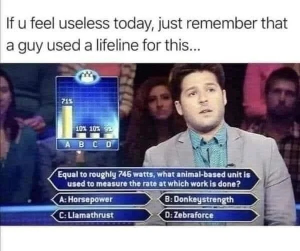 Who Wants to Be a Millionaire? — Meme with bald wide-eyed Millionaire contestant stumped by a math question, with 'everyone/me' caption