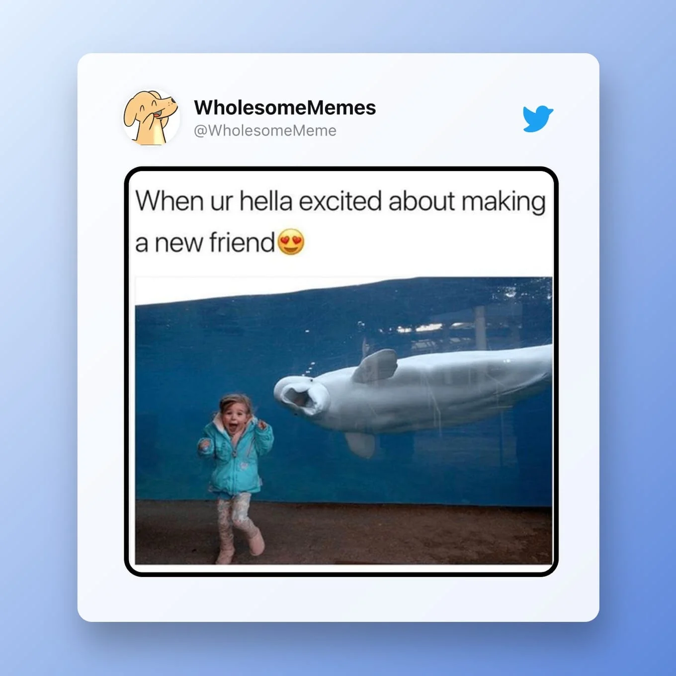 Wholesome Memes — Twitter post featuring child at aquarium reacting with joy to whale.