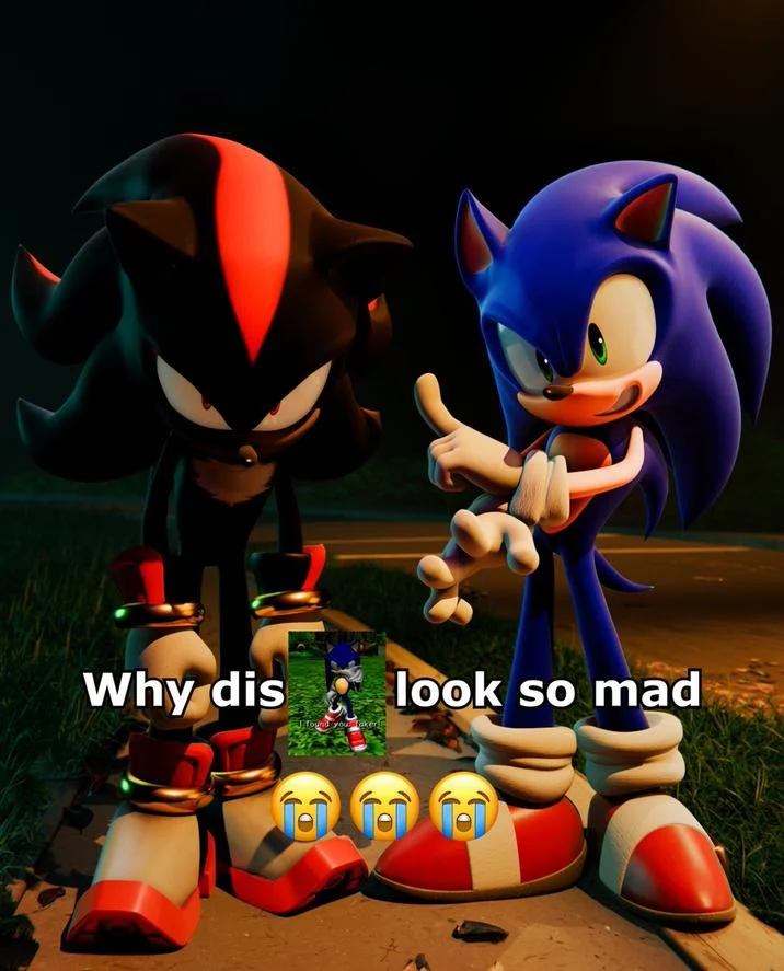 Why Dis Nigga Look So Mad — Sonic and Shadow the Hedgehog 3D redraw of the 'why dis look so mad' meme.
