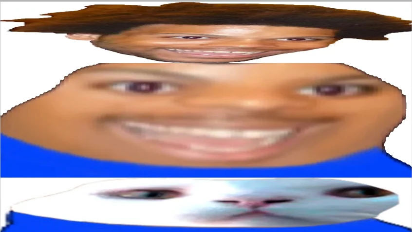 Three-panel comparison showing original face, WideHardo stretch, and a cat variant
