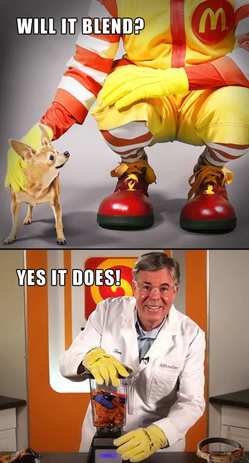 Will It Blend? — Two-panel meme with Ronald McDonald, chihuahua and Tom Dickson blending