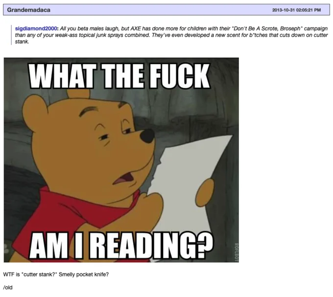 Winnie the Pooh Reading — Forum post with Winnie the Pooh 'What the fuck am I reading' meme responding to an AXE body spray comment