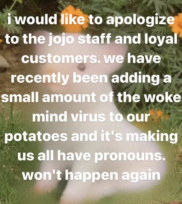 Blurry white kitten image with ironic apology meme about adding woke mind virus to potatoes
