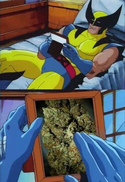Wolverine Crush meme featuring a photo of marijuana buds in the frame.