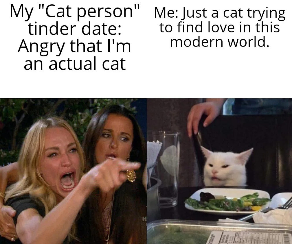 Woman Yelling at a Cat — Two-panel meme with Taylor Armstrong yelling on left and Smudge cat on right with cat dating text.