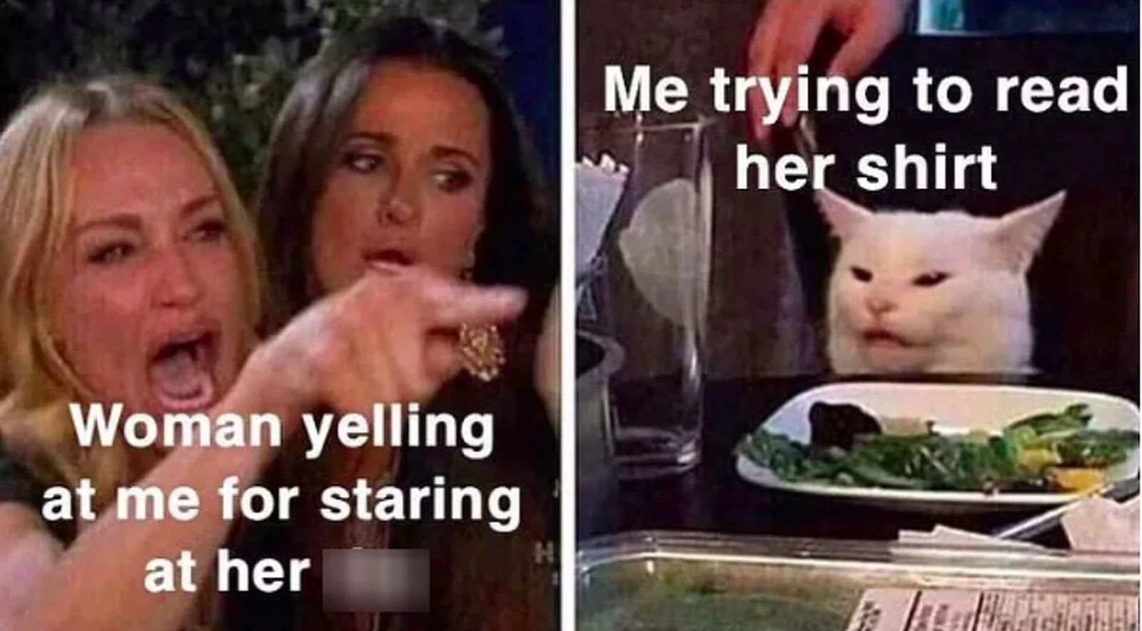 Woman Yelling at a Cat — Clean two-panel meme with Taylor Armstrong yelling and pointing left, Smudge cat bewildered right.