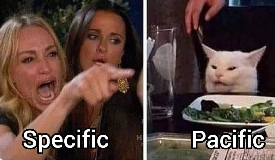 Woman Yelling at a Cat — Two-panel meme comparing Specific and Pacific homophone joke.