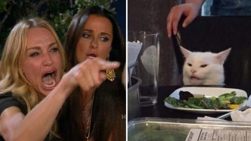 Woman Yelling at a Cat — Two-panel meme with multiple text overlays and custom additions across panels.