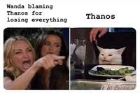 Woman Yelling at a Cat — Small two-panel meme comparing Wanda blaming Thanos character relationship.