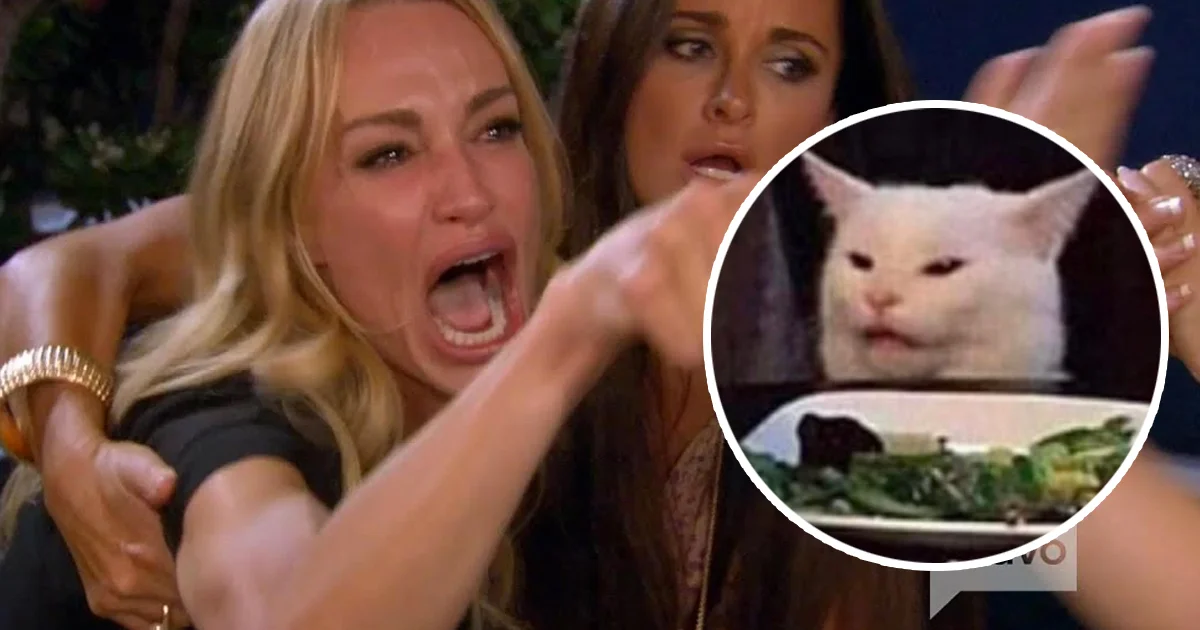 Woman Yelling at a Cat — Two-panel meme with white circle zoom effect highlighting Smudge's reaction panel.