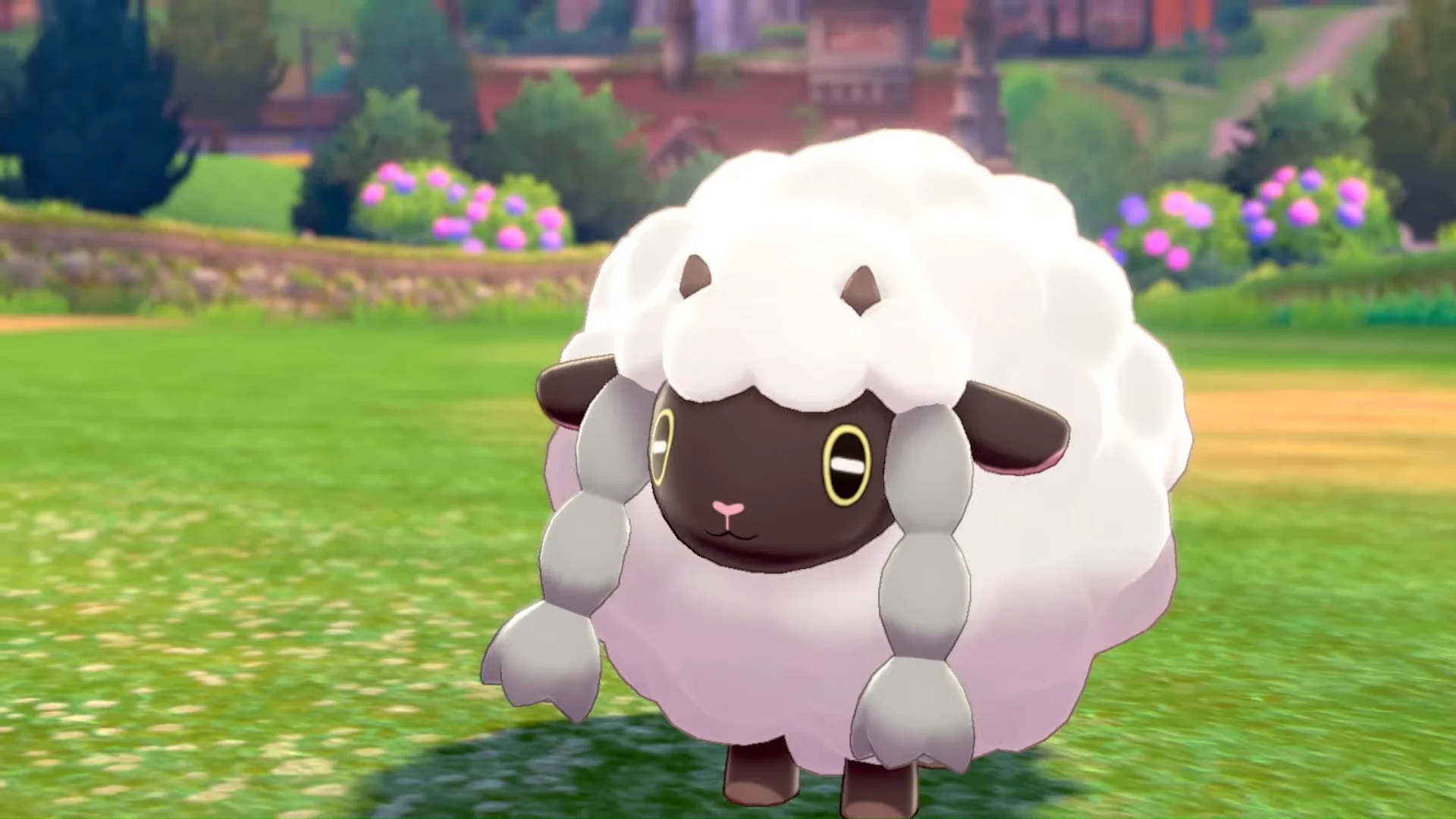 Wooloo, a round fluffy white sheep Pokémon with a dark face, standing in a grassy meadow