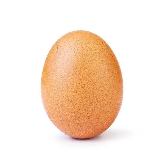 Brown egg with a small crack forming on the shell, teasing the world record egg reveal.