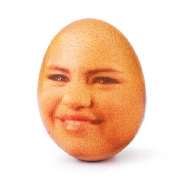 Photoshopped world record egg with Selena Gomez's face on the shell.