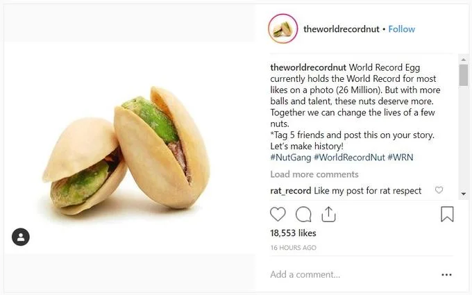 Instagram screenshot of theworldrecordnut account showing pistachios and a caption inspired by the world record egg.