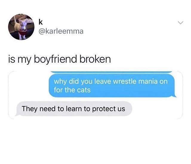 Tweet screenshot joking that a boyfriend left WrestleMania on for the cats so they would learn to protect the household