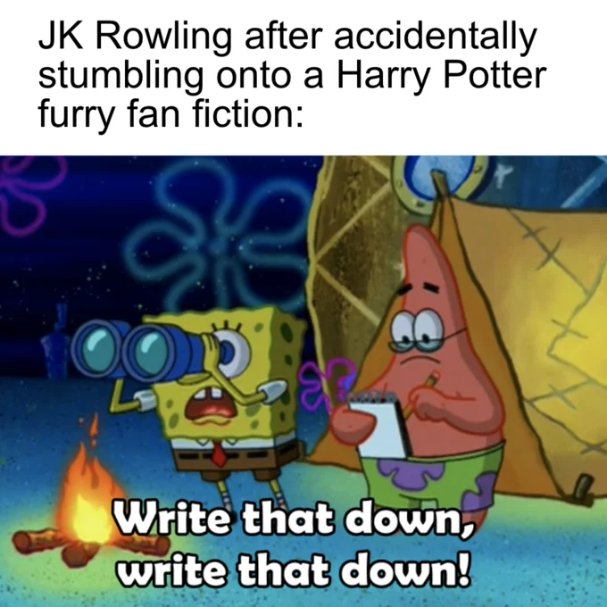 Write That Down, Write That Down — SpongeBob 'Write That Down' meme about JK Rowling discovering Harry Potter furry fan fiction
