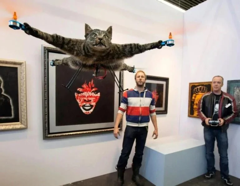 WTF — Taxidermied cat with drone propellers attached to its legs hovering in an art gallery