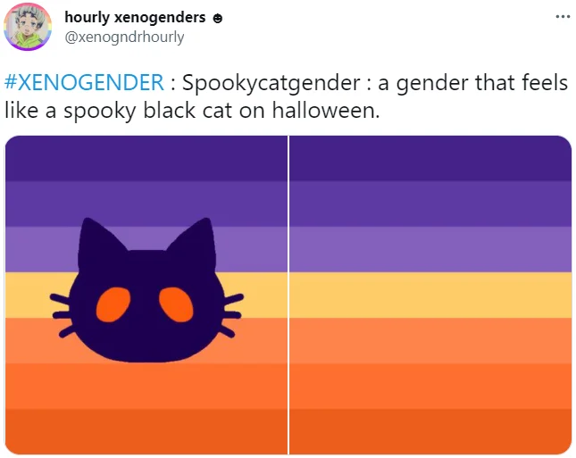 Twitter post from hourly xenogenders showing the Spookycatgender flag with a black cat on orange and purple stripes