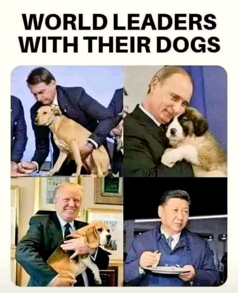Four-panel meme of world leaders with dogs, with Xi Jinping eating from a plate