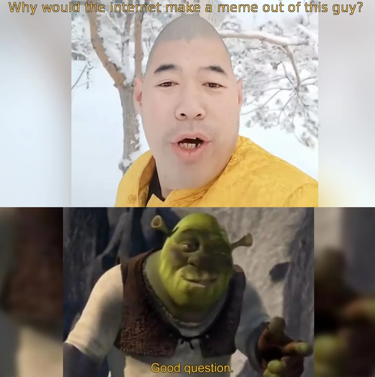 Two-panel meme comparing the Xue Hua Piao Piao singer to Shrek, with Shrek replying 'Good question.'