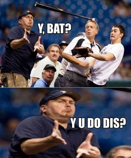Baseball fan with bat flying at him, captioned 'Y, BAT?' and 'Y U DO DIS?'