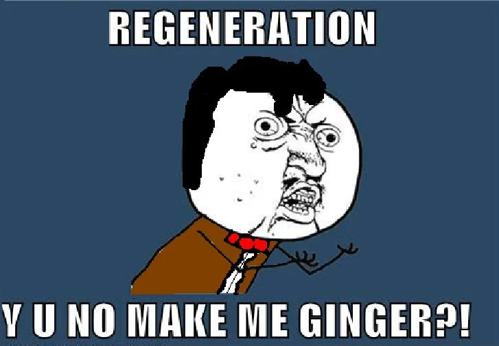Y U NO Guy with brown robe costume asking 'Y U NO MAKE ME GINGER?!' about Doctor Who.