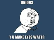 Y U NO Guy asking 'ONIONS Y U MAKE EYES WATER' about cooking onions.