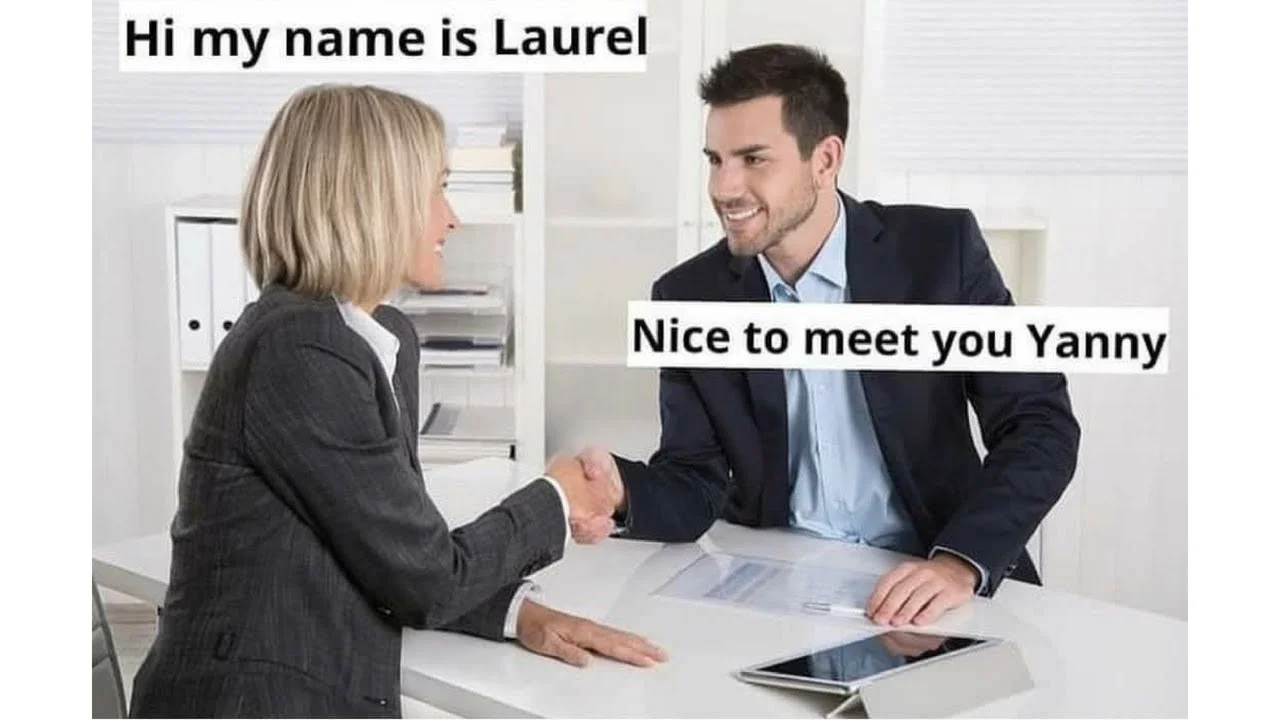Yanny vs Laurel — Business meeting meme with two professionals introducing themselves with conflicting names Laurel and Yanny.