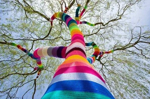 Yarn Bombing — Upward angle photograph of tree trunk and branches wrapped in multicolored rainbow-striped knitted yarn.