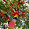 Yarn Bombing — Tree photographed from below with trunk and branches wrapped in red, orange, and green yarn.
