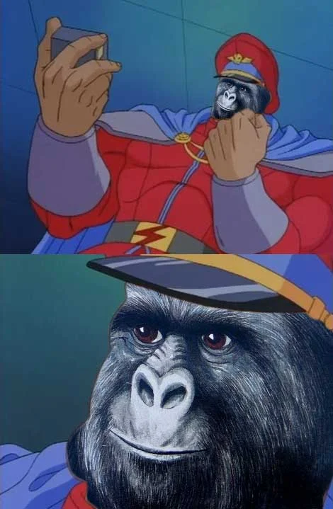 Yes! Yes! — M. Bison YES YES scene with gorilla head photoshopped over his face