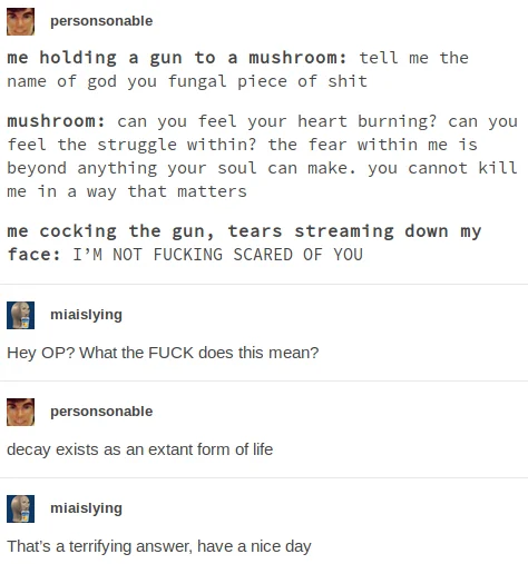 You Cannot Kill Me In A Way That Matters — Screenshot of original Tumblr post with mushroom dialogue and philosophical response.