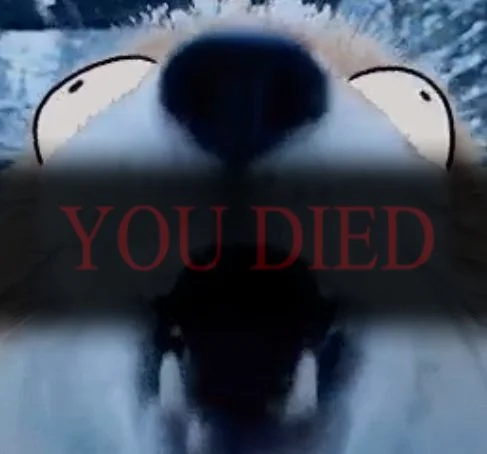 Blurry husky face with cartoon eyes and red 'YOU DIED' text overlay.