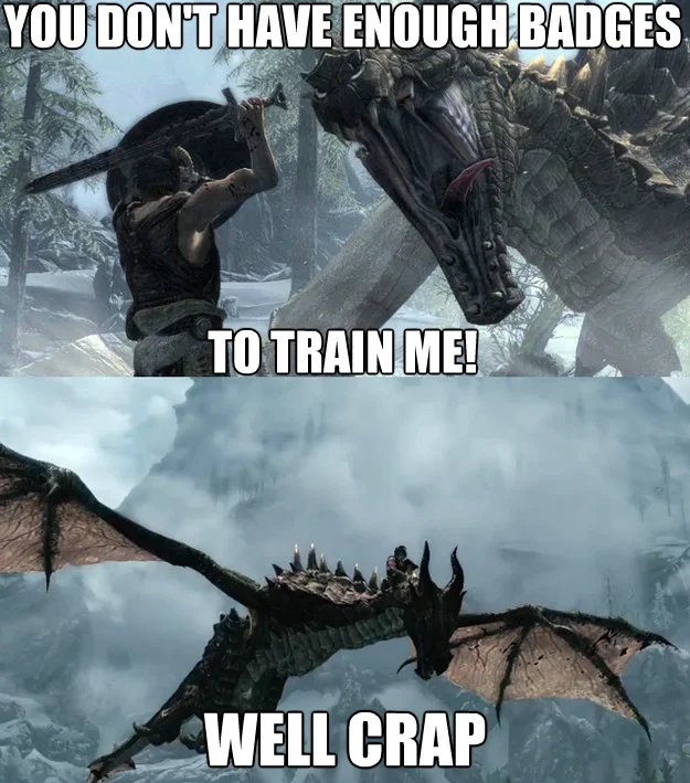 YOU DON'T HAVE ENOUGH BADGES TO TRAIN ME! — Two-panel Skyrim meme — Dragonborn attacking a dragon with the badges caption, then being carried away with 'Well