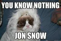 You Know Nothing Jon Snow — Grumpy Cat wearing white fluffy Night's Watch costume with quote text top and bottom.