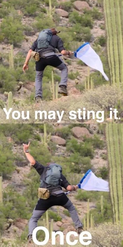 You May Spank It, Once — Hiker with net lunging at a cactus 'You may sting it once' meme
