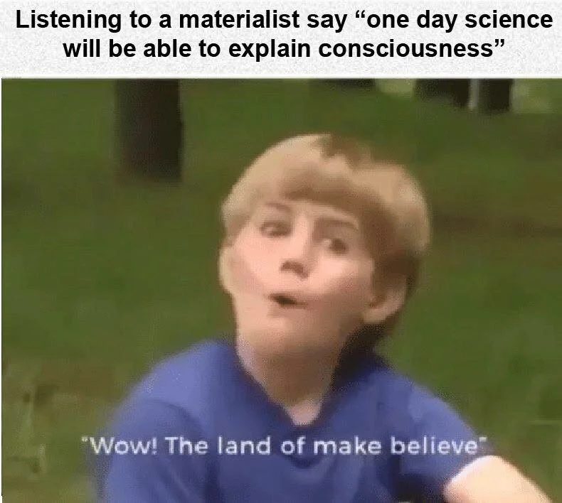 You On Kazoo — Kazoo Kid 'land of make believe' meme about materialism and consciousness