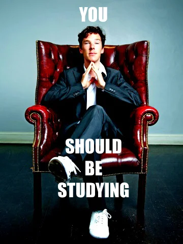 Formally dressed man in red velvet armchair with white text 'YOU SHOULD BE STUDYING'.