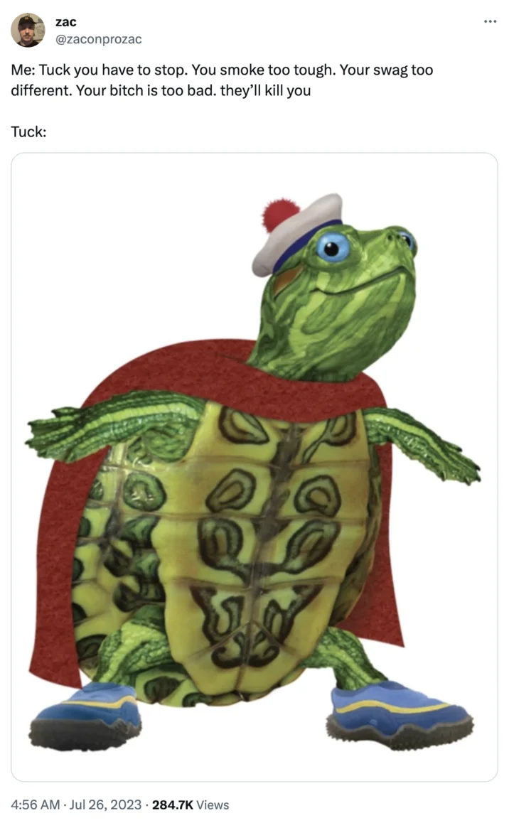 You Smoke Too Tough. Your Swag Too Different. Your Bitch Is Too Bad. They'll Kil... — Tweet from @zaconprozac addressing Tuck the Wonder Pets turtle with the