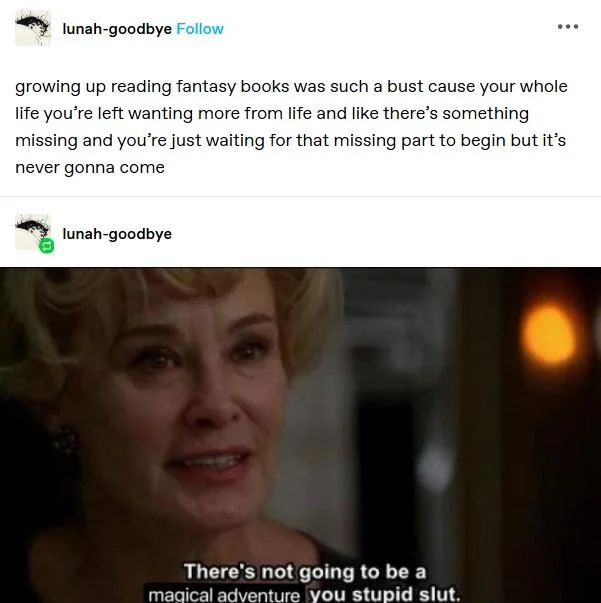 You Stupid Slut — Tumblr post about fantasy books above an edited AHS screenshot with text about magical adventures.