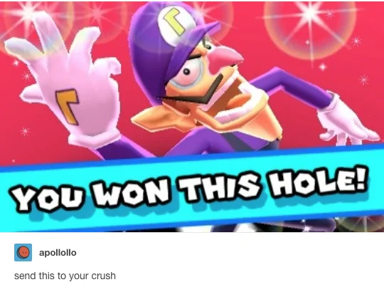 Tumblr screenshot of Waluigi with 'You Won This Hole!' banner and caption 'send this to your crush'.