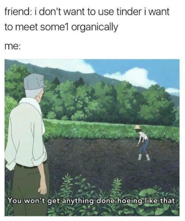 You Wont Get Anything Done Hoeing Like That — A reaction meme from Wolf Children comparing online dating versus meeting people naturally.