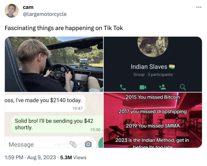 Twitter post by cam showing a collage of Young Indian Method TikTok screenshots with 5.3 million views
