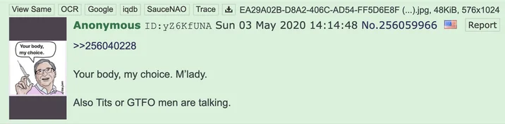 Your Body My Choice — A 4chan imageboard screenshot from May 2020 showing an anonymous post with the text 'Your body, my choice. M'lady.'