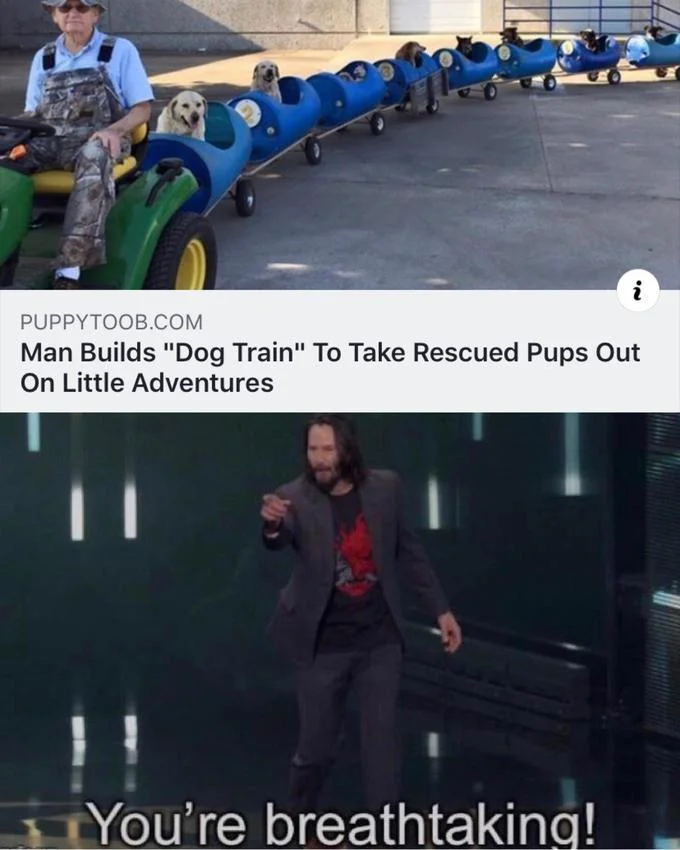 Meme combining a dog-train news post with Keanu Reeves pointing and saying You're breathtaking