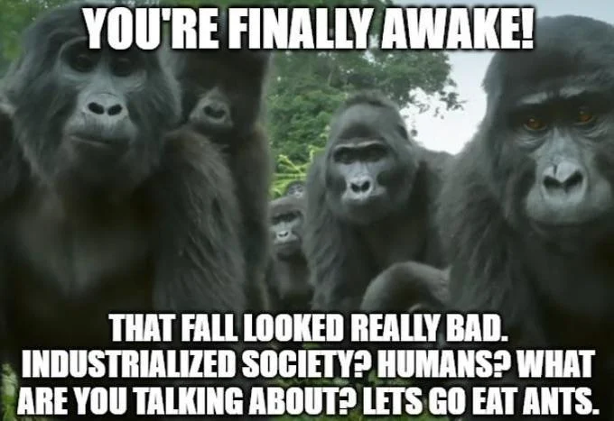 You're Finally Awake — Group of gorillas with impact font text about industrialized society being a dream, inviting the viewer to eat ants.