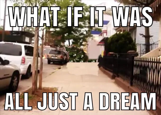 You're Finally Awake — Suburban street scene with cars and 'WHAT IF IT WAS ALL JUST A DREAM' meme text in impact font.